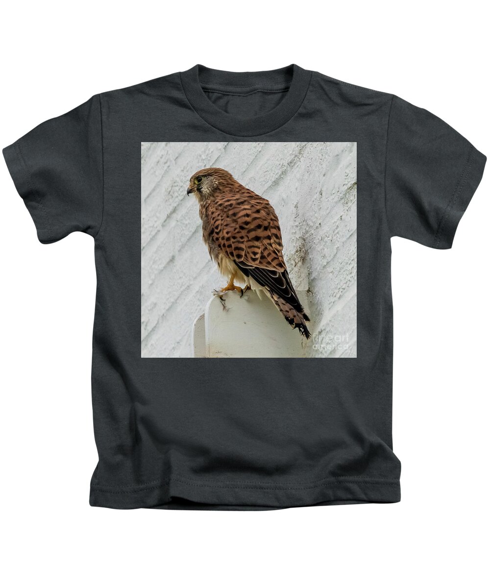 Kestrel Kids T-Shirt featuring the photograph Eurasian Kestrel Falco tinnunculus Costa Ballena Cadiz #2 by Pablo Avanzini