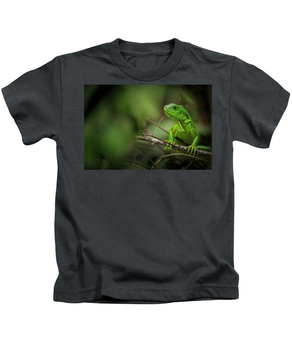 Parque Tayrona Kids T-Shirt featuring the photograph Parque Tayrona Magdalena Colombia #2 by Tristan Quevilly