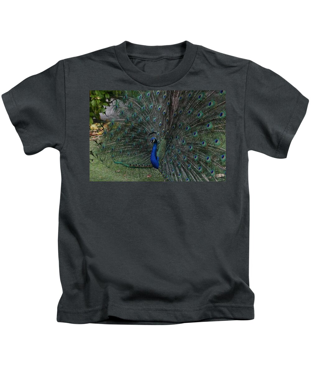 Indian Peafowl Kids T-Shirt featuring the photograph Peacock Fanning Tail #2 by Mingming Jiang