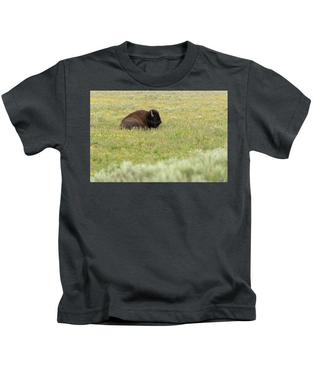 Buffalo Kids T-Shirt featuring the photograph 2018 Buffalo-2 by Tara Krauss