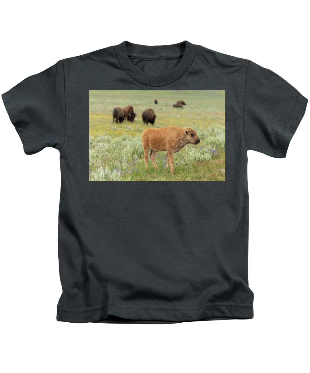 Buffalo Kids T-Shirt featuring the photograph 2018 Buffalo- 4 by Tara Krauss