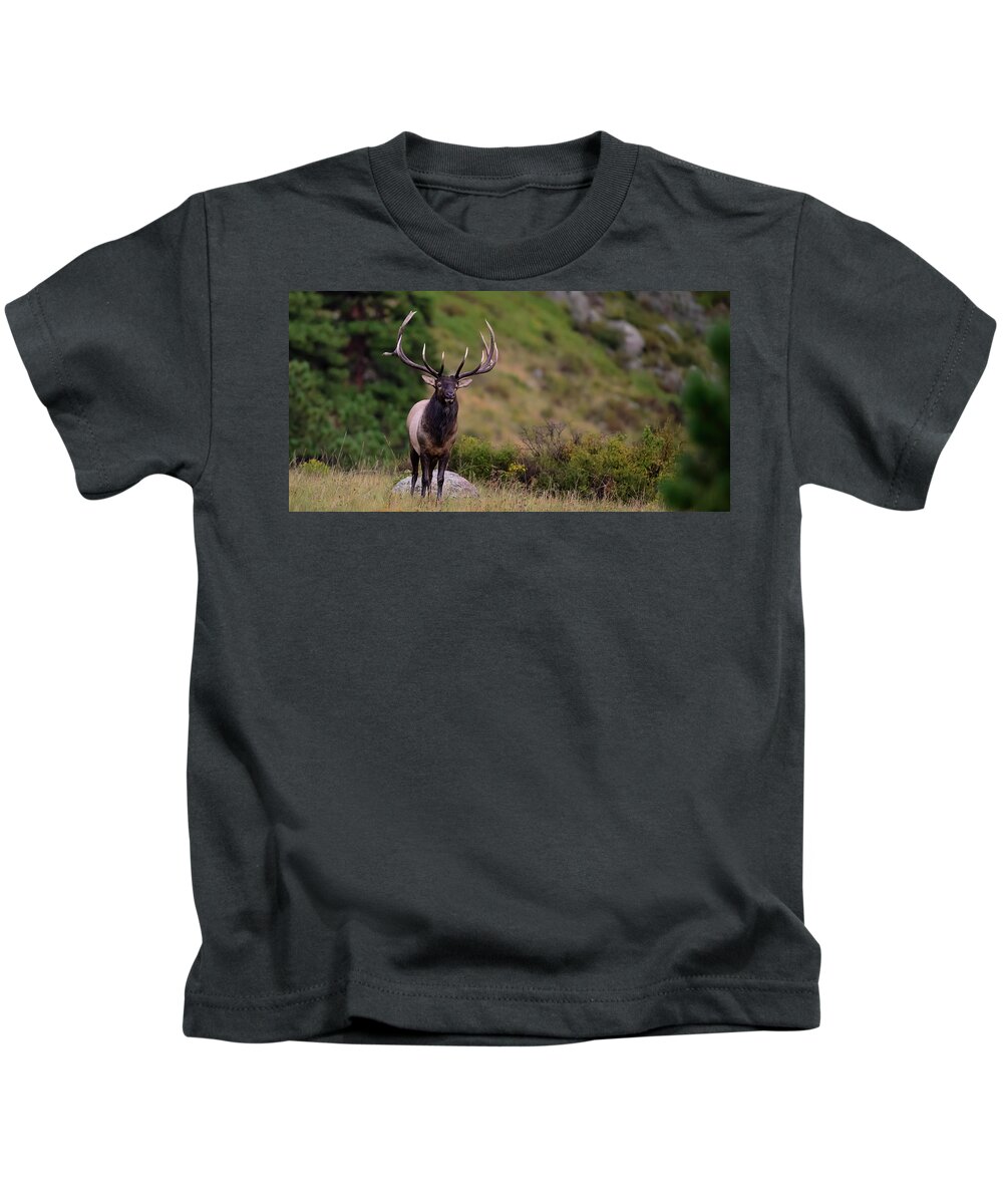 Rocky Kids T-Shirt featuring the photograph Rocky Mountain Bull Elk #4 by Gary Langley