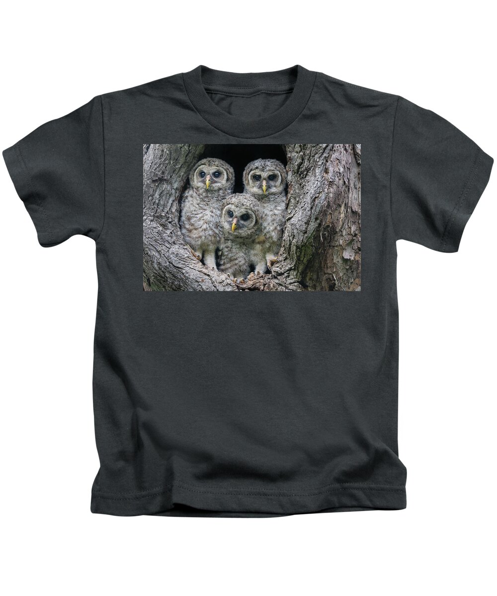 Baby Barred Owls Kids T-Shirt featuring the photograph Look I just made you Smile by Puttaswamy Ravishankar