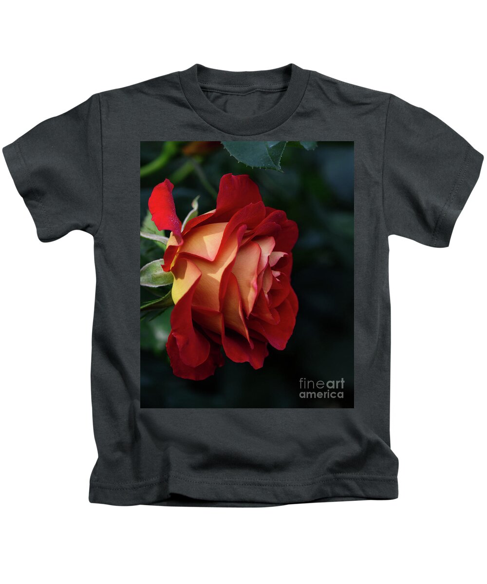 Rose Petal Kids T-Shirt featuring the photograph A single elegant orange and red rose by Abigail Diane Photography