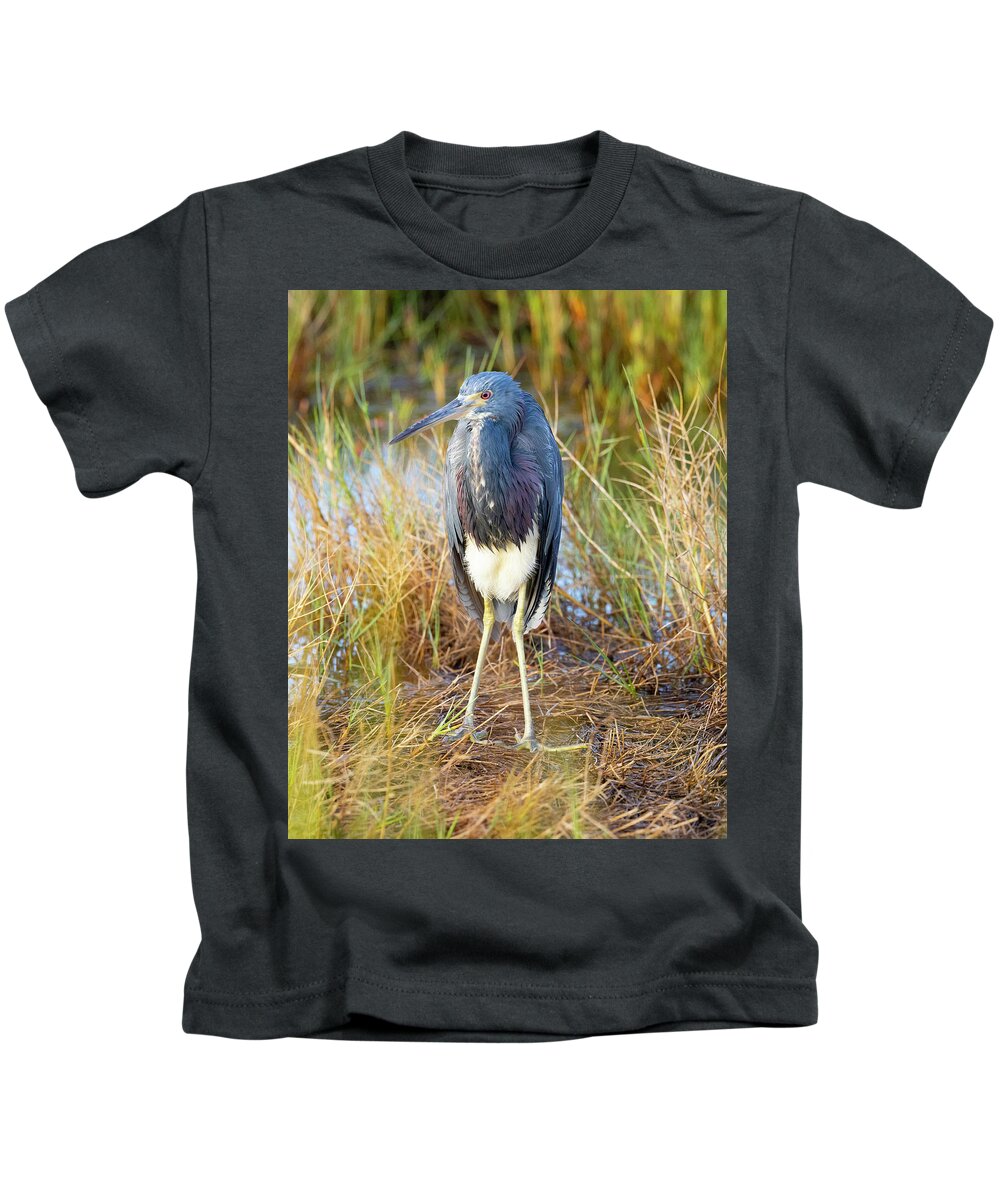 R5-2607 Kids T-Shirt featuring the photograph A young blue heron by Gordon Elwell