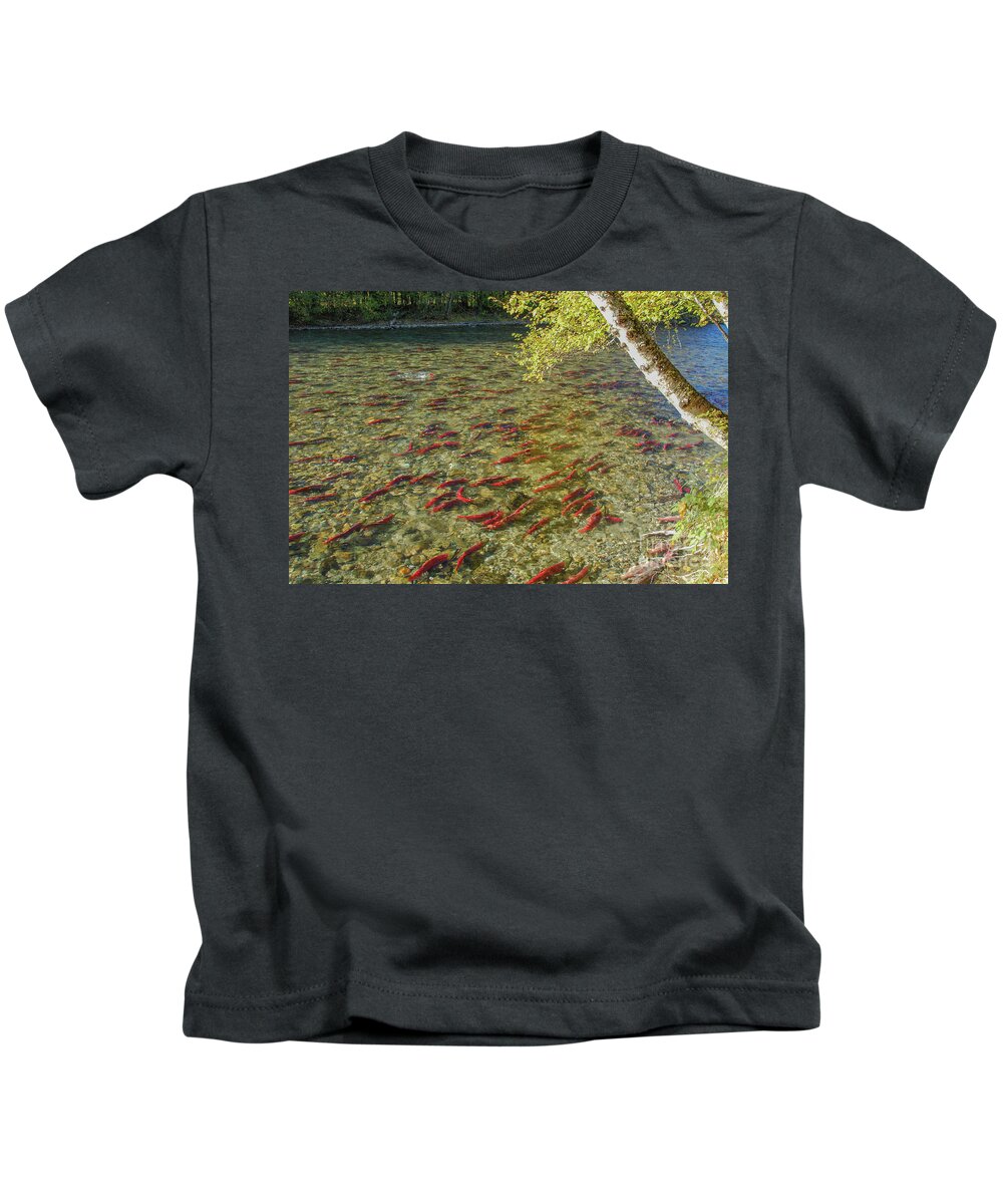 Adams River Kids T-Shirt featuring the photograph Adams River Sockeye Run in the Sun by Nancy Gleason
