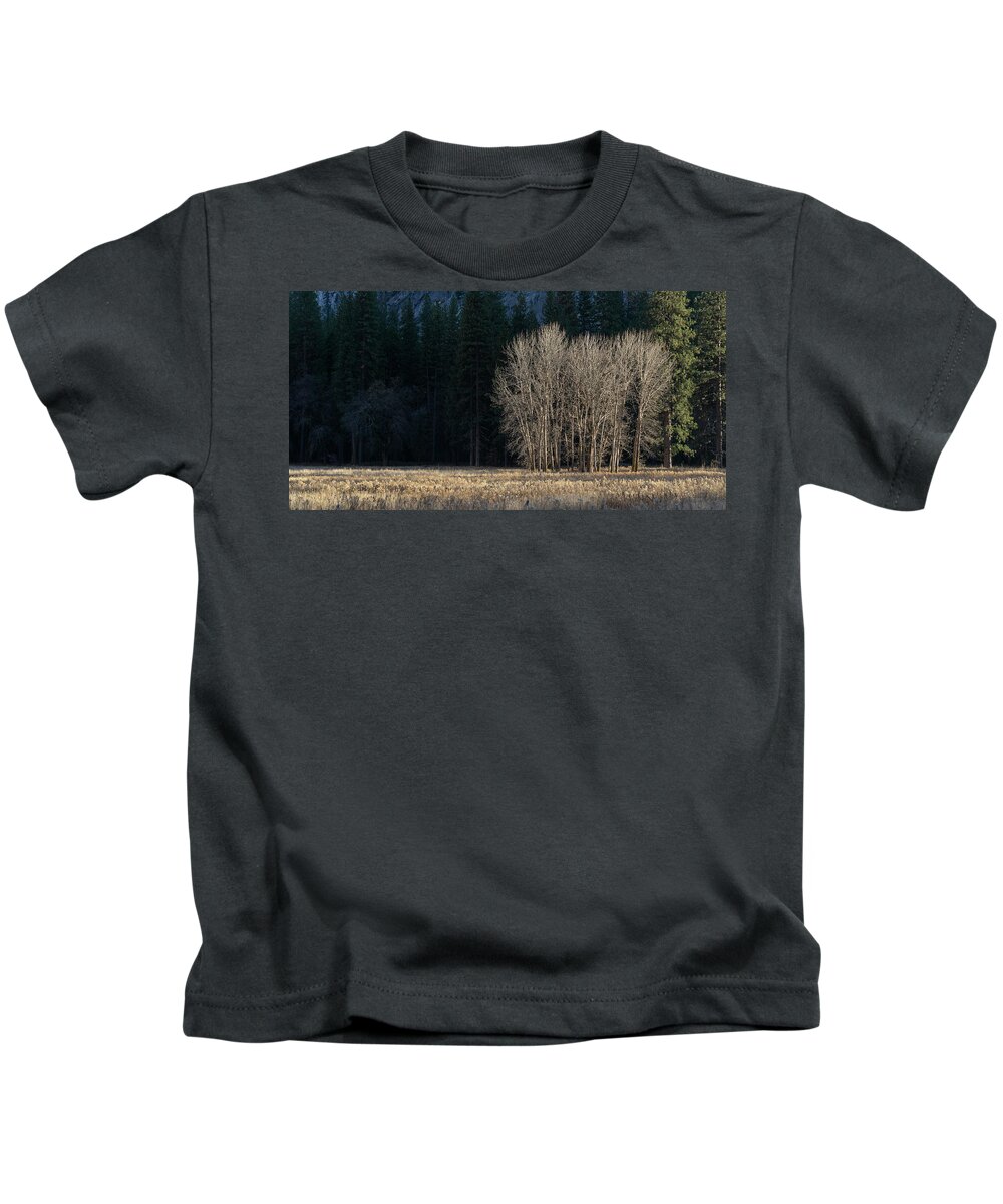 Yosemite National Park Kids T-Shirt featuring the photograph Ahwahnee Meadow Vista by Brett Harvey