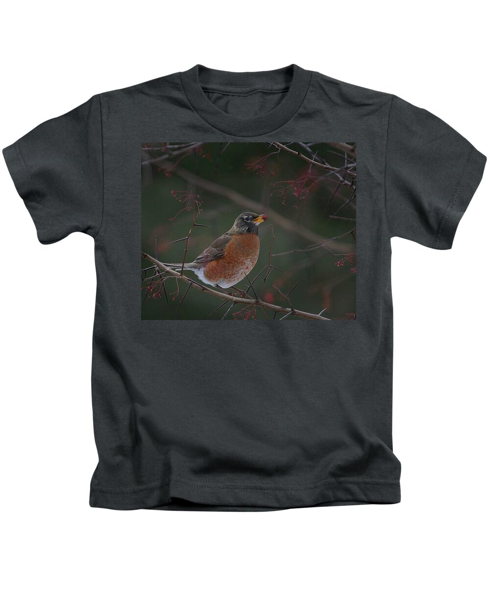 Robin Kids T-Shirt featuring the photograph Amerian Robin with a Berry by Flinn Hackett