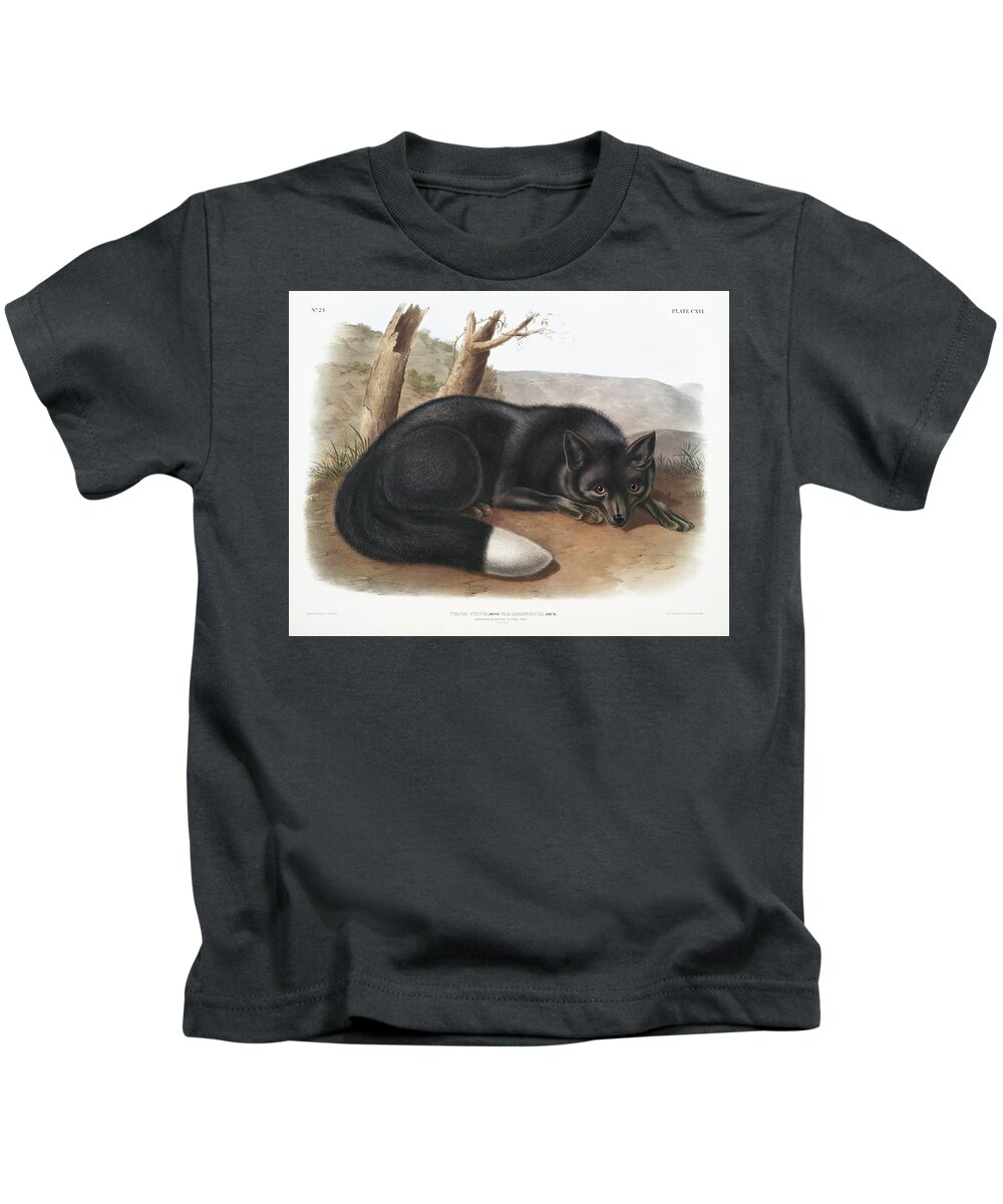 America Kids T-Shirt featuring the mixed media American Black Fox. John Woodhouse Audubon by World Art Collective