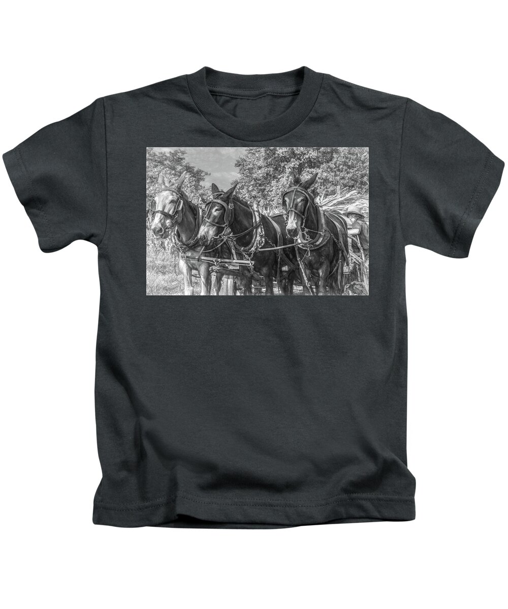 Horses Kids T-Shirt featuring the photograph Amish Corn Harvest, Lancaster County by Marcy Wielfaert