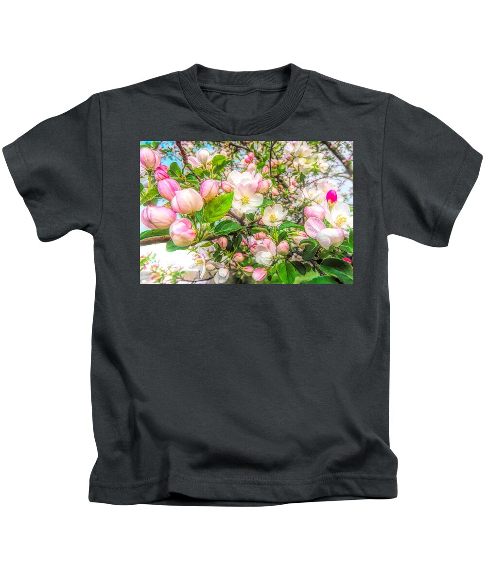 Apple Blossom Kids T-Shirt featuring the photograph Apple Blossoms by Susan Hope Finley