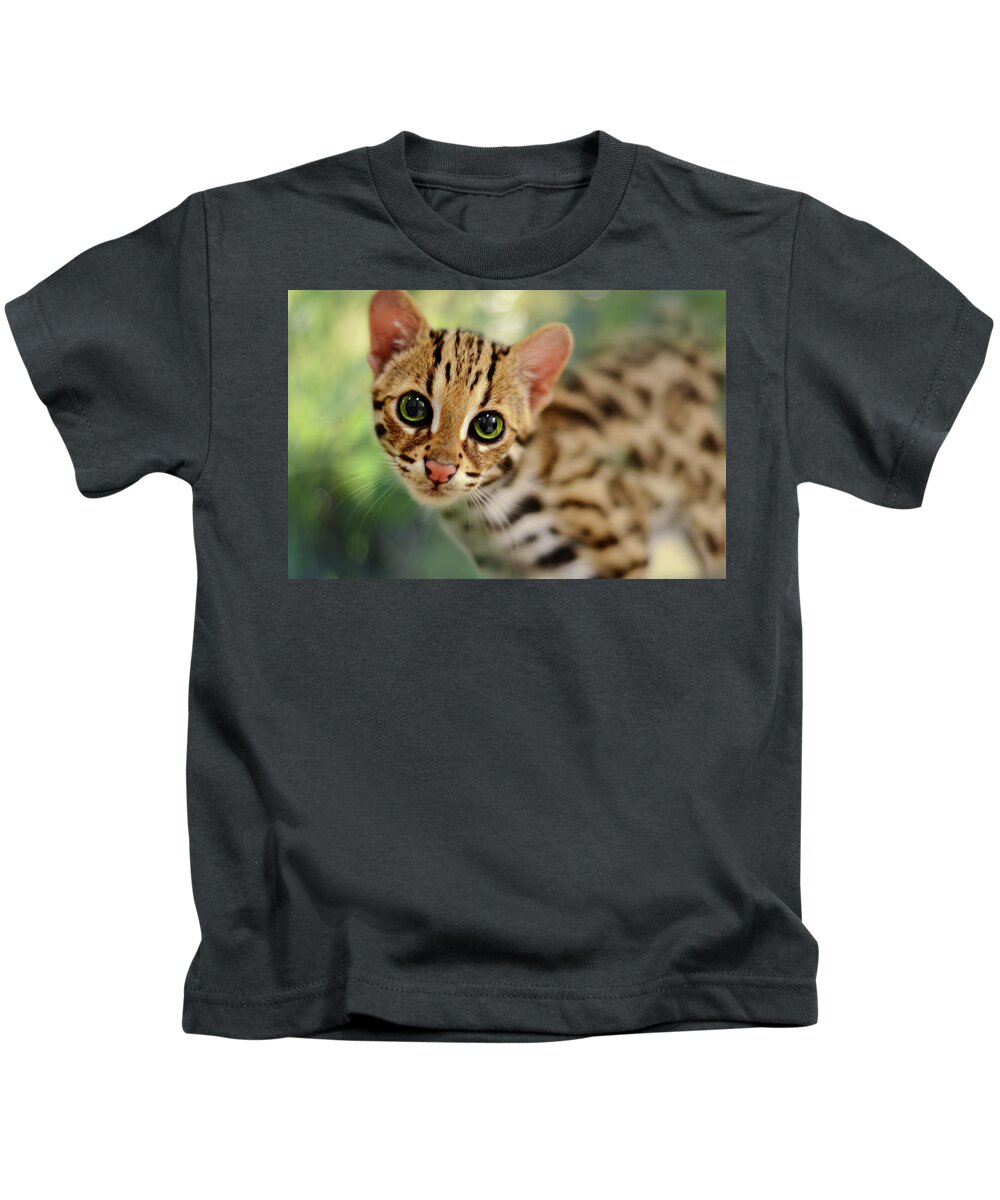 Animals Kids T-Shirt featuring the photograph Asian Leopard Cub by Laura Fasulo