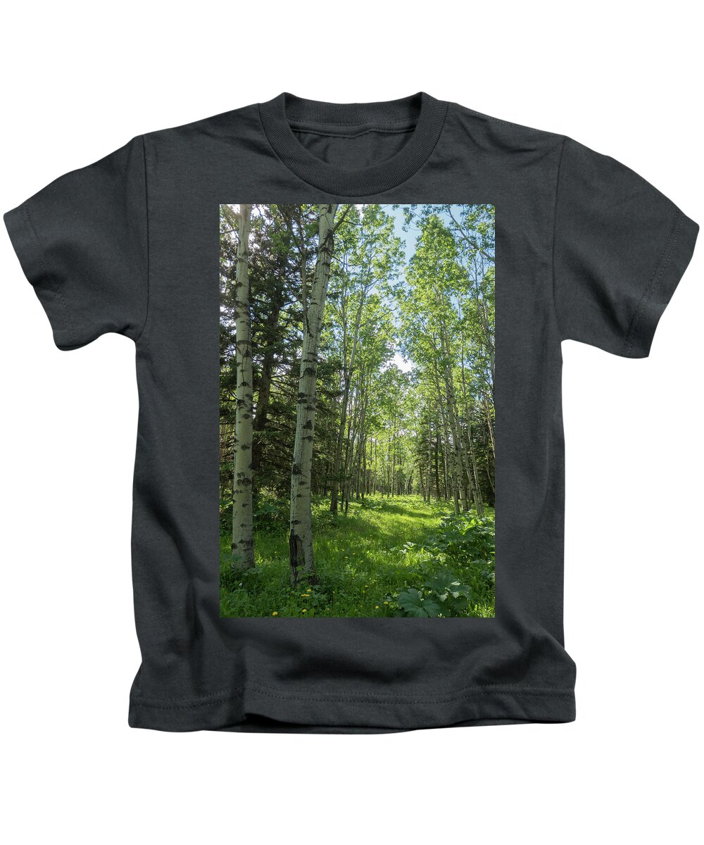 Aspen Kids T-Shirt featuring the photograph Aspen Woods In The Morning by Karen Rispin