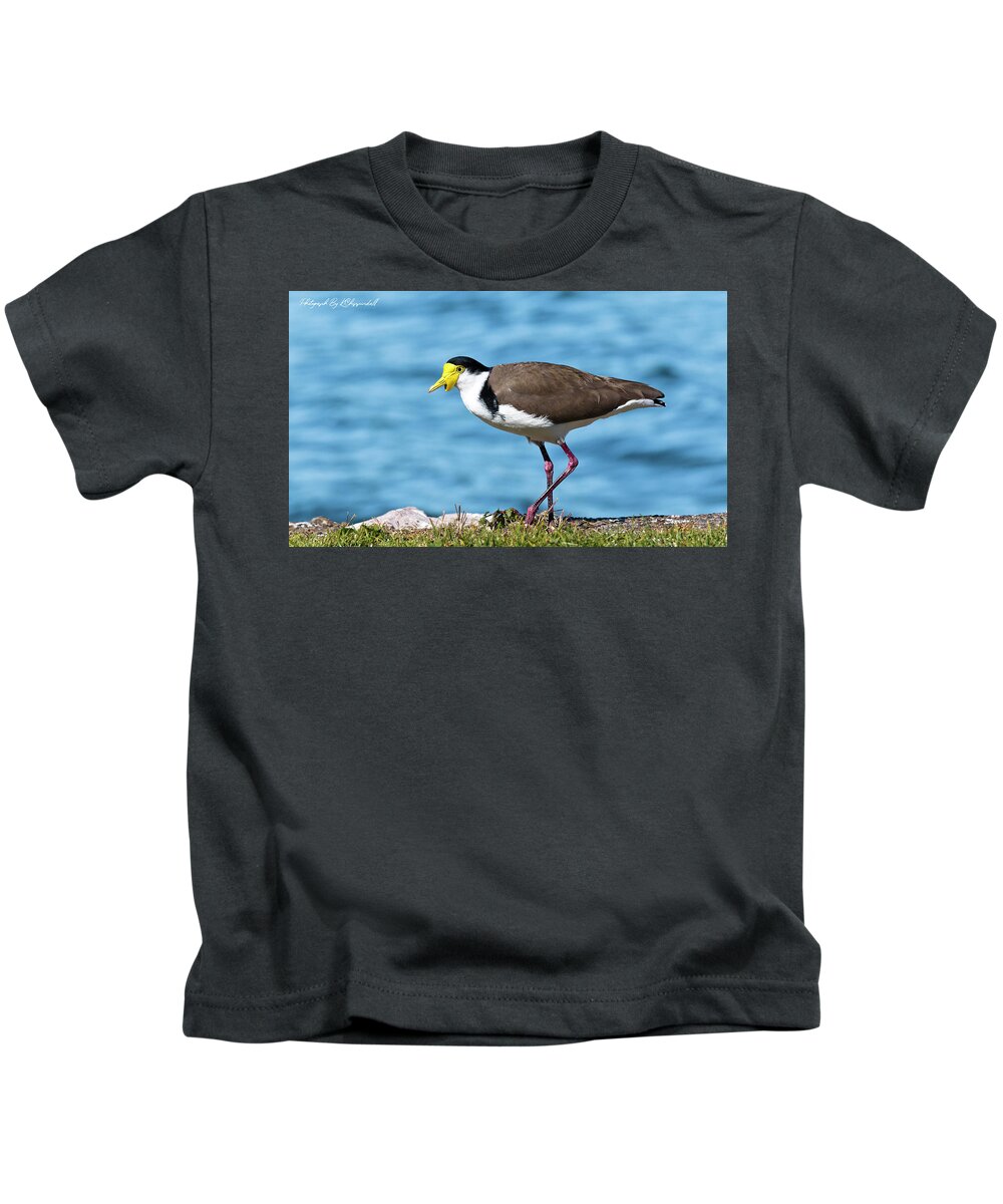 Australian Plover Kids T-Shirt featuring the digital art Australian plover 893 by Kevin Chippindall