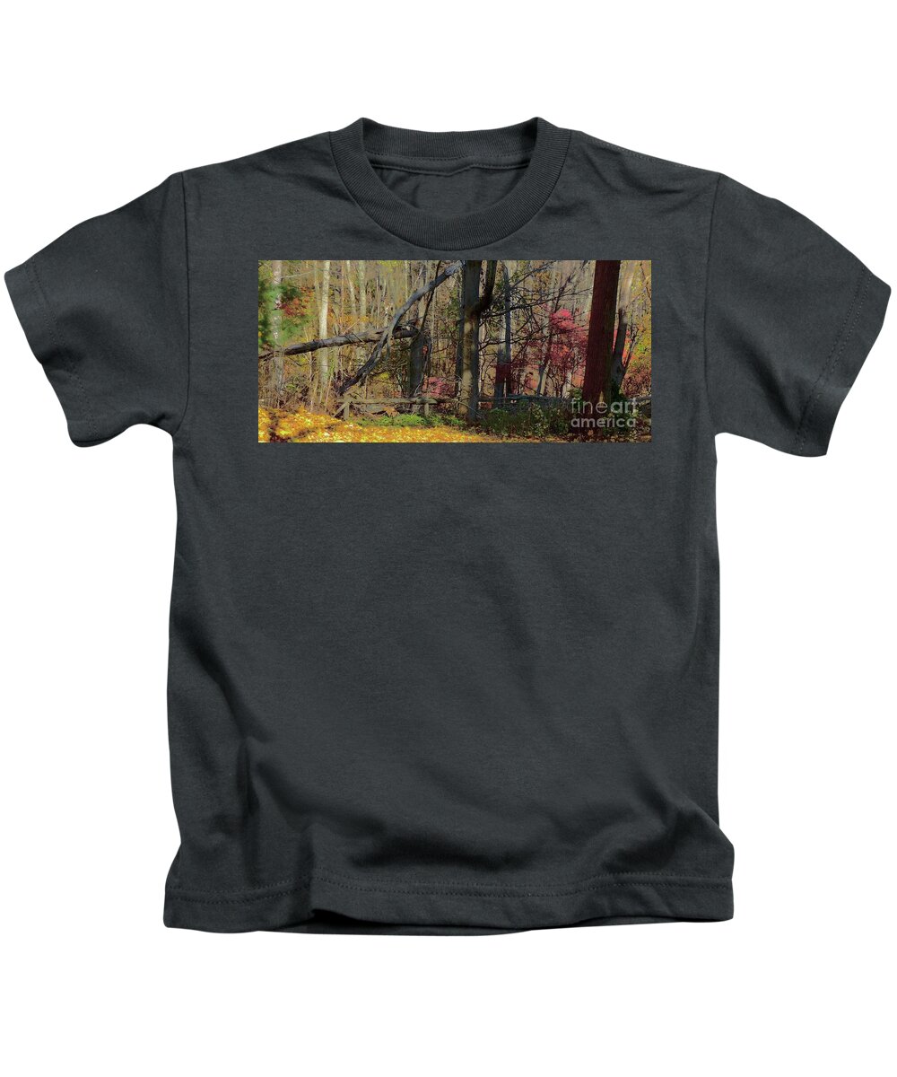 Seasonal Kids T-Shirt featuring the photograph Autumn Colors Woods by Margie Avellino