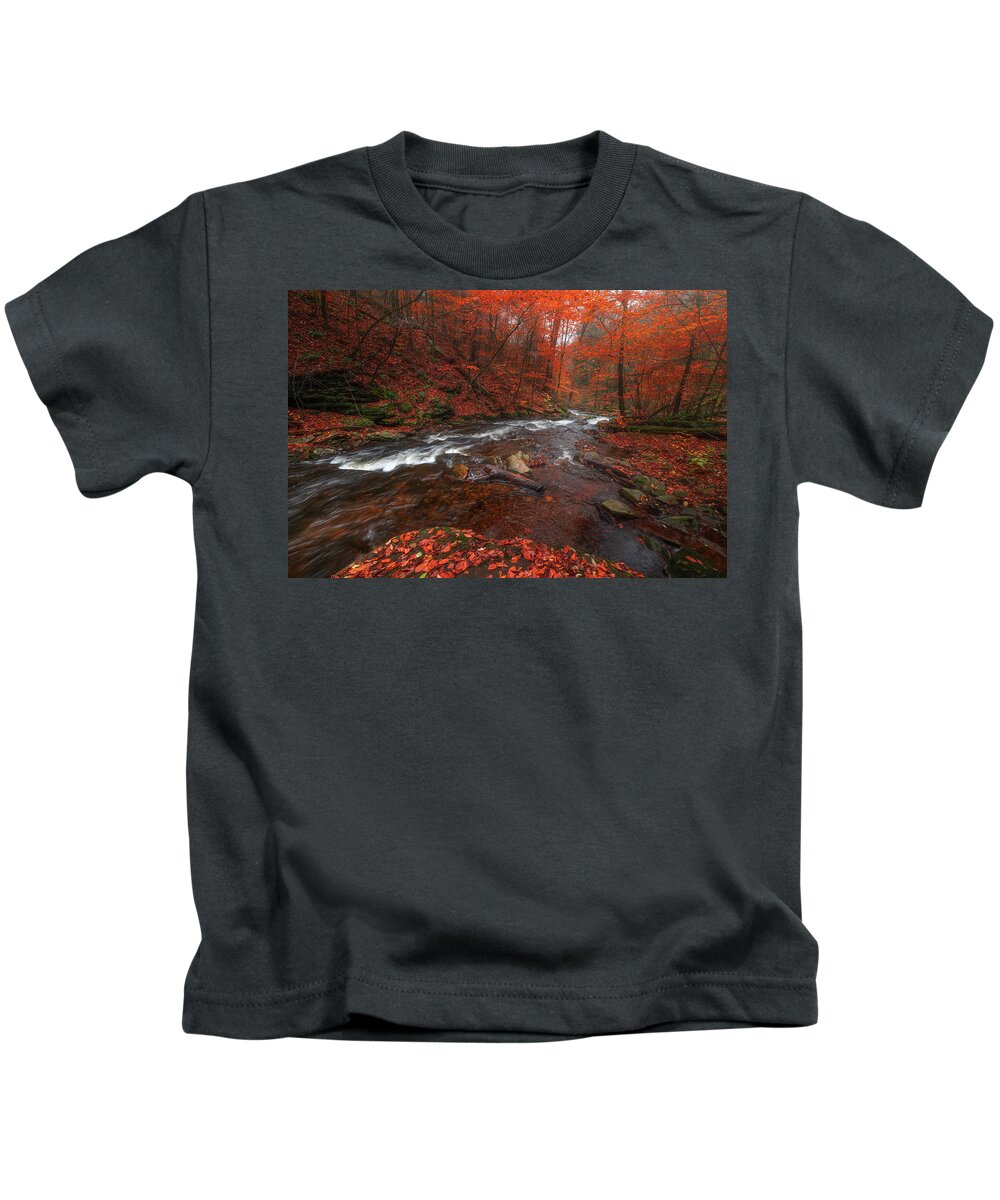 Fall Scenes Kids T-Shirt featuring the photograph Autumn Fire by Darren White