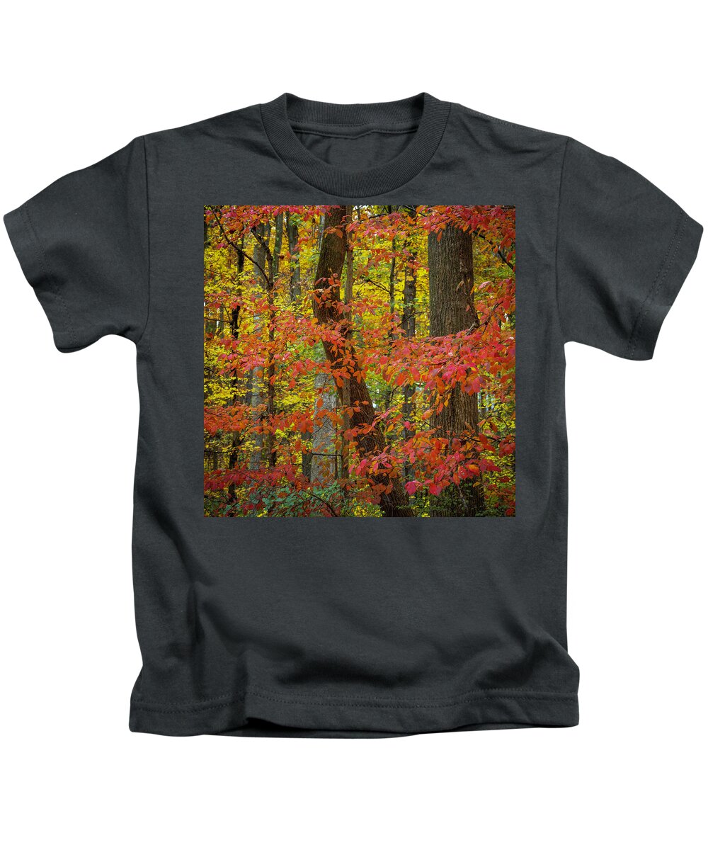 Autumn Kids T-Shirt featuring the photograph Autumn Leaves II by Norman Reid