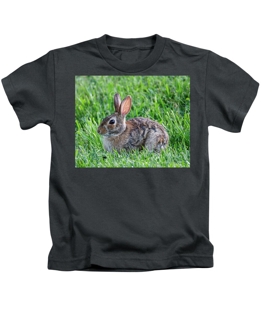 Rabbit Kids T-Shirt featuring the photograph Backyard Bunny by David Beechum