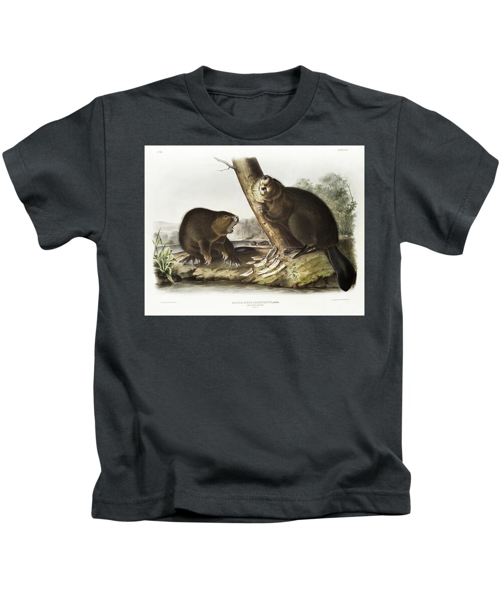 American Animals Kids T-Shirt featuring the mixed media Beavers. John Woodhouse Audubon Illustration by World Art Collective