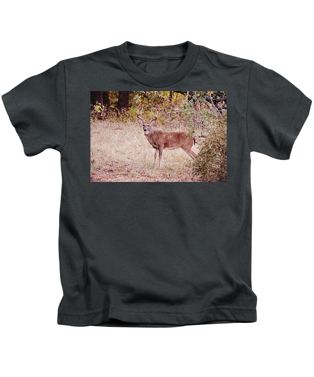 Deer Kids T-Shirt featuring the photograph Big 12 Point Buck Deer in Wild by Gaby Ethington