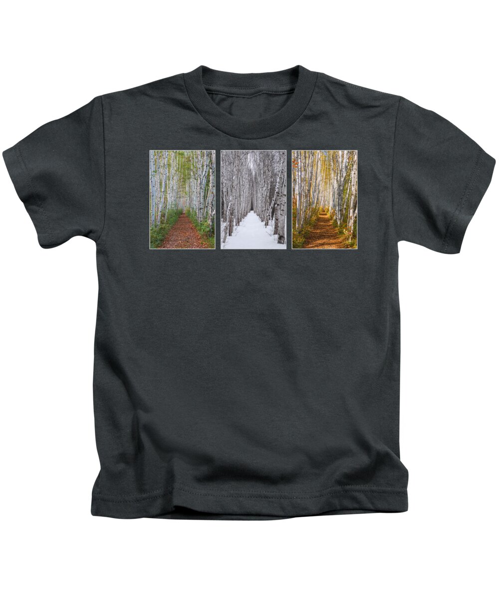 Birch Kids T-Shirt featuring the photograph Birch Path Three Season Collage by White Mountain Images