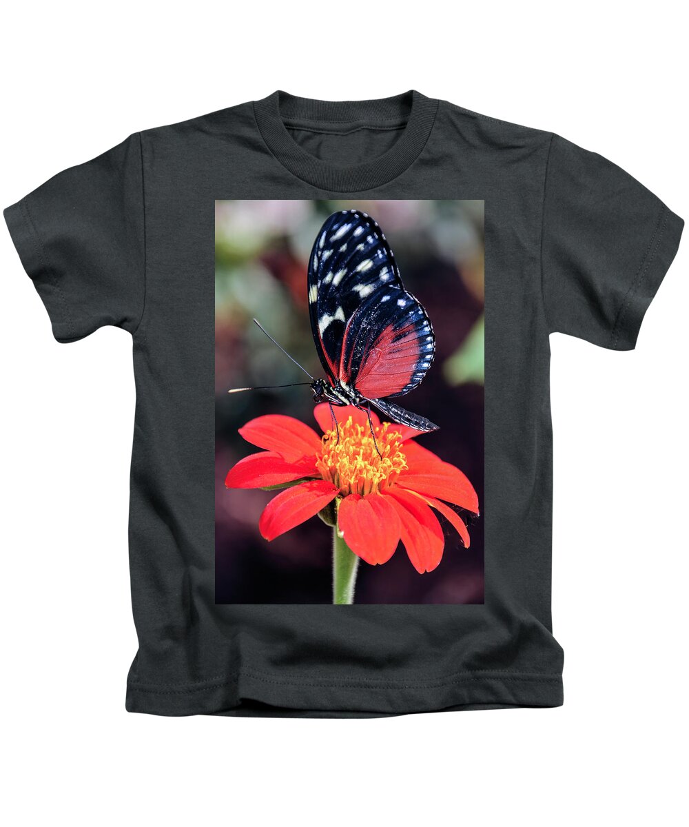 Black Kids T-Shirt featuring the photograph Black and Red Butterfly on Red Flower by WAZgriffin Digital