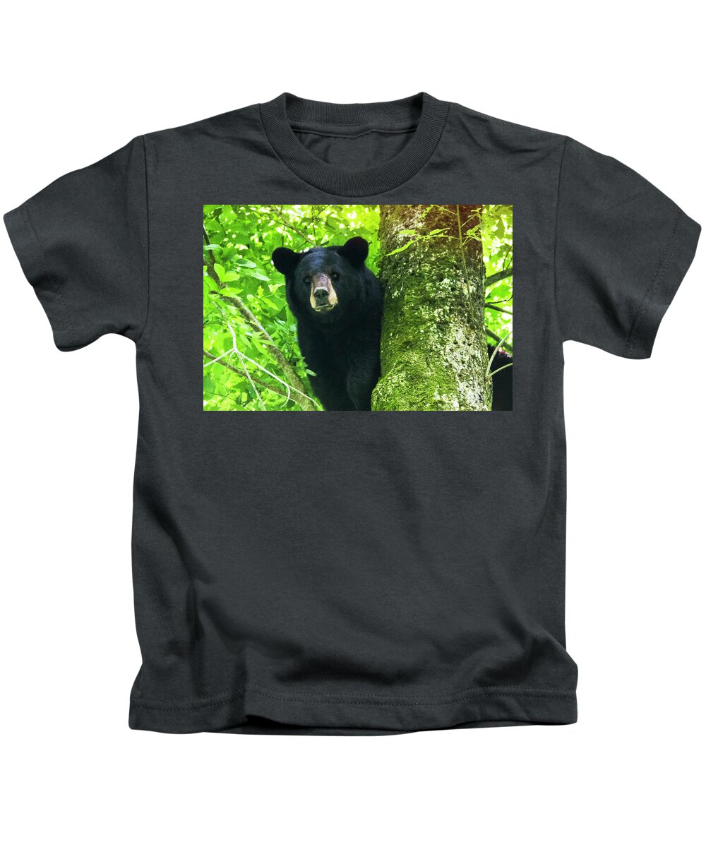 Bear Kids T-Shirt featuring the photograph Black Bear Up a Tree in the Croatan by Bob Decker