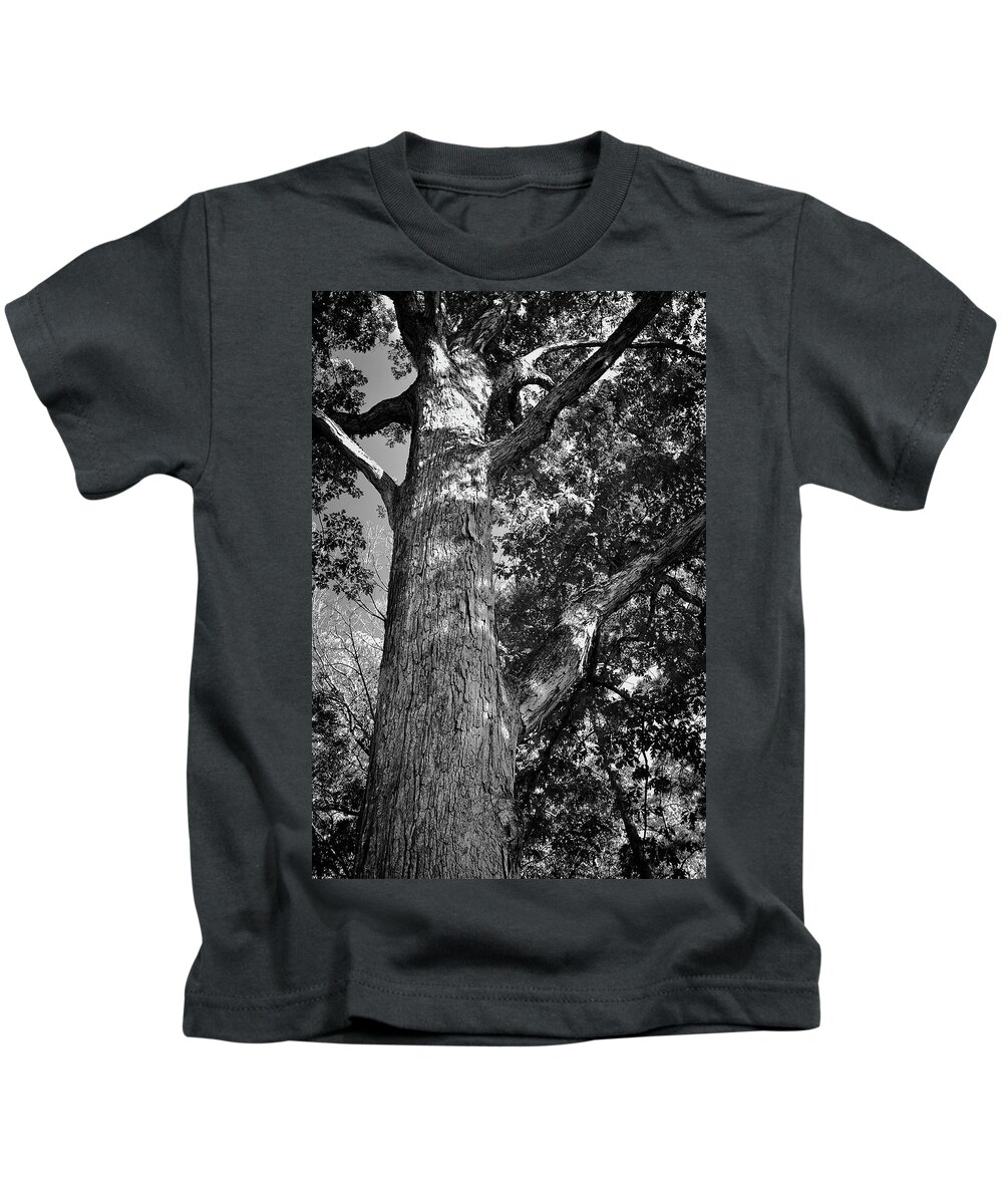 Tree Kids T-Shirt featuring the photograph Branches by George Taylor