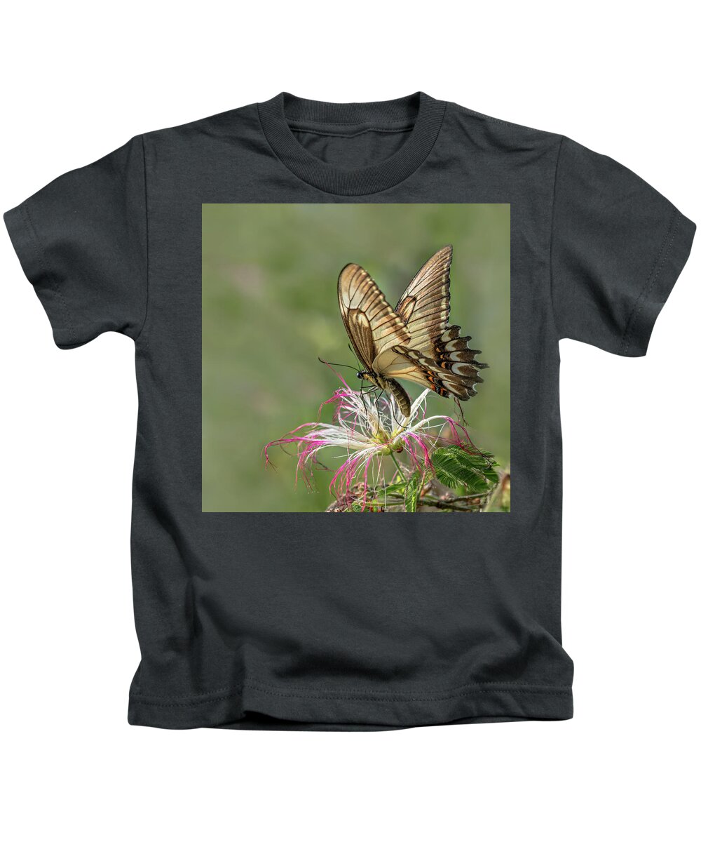 Butterfly Kids T-Shirt featuring the photograph Broad Banded Swallowtail Butterlfy by Linda Villers