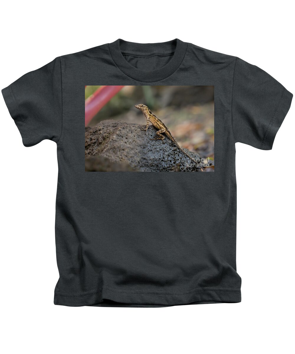 Animal Kids T-Shirt featuring the photograph Brown Anole Female Looking Alert by Nancy Gleason