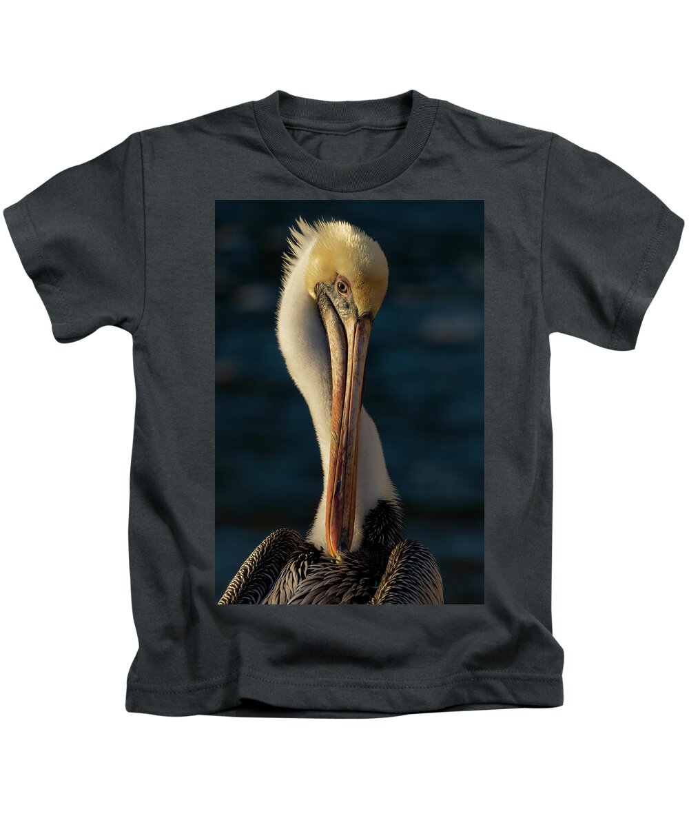 Birds Kids T-Shirt featuring the photograph Brown Pelican Portrait by RD Allen