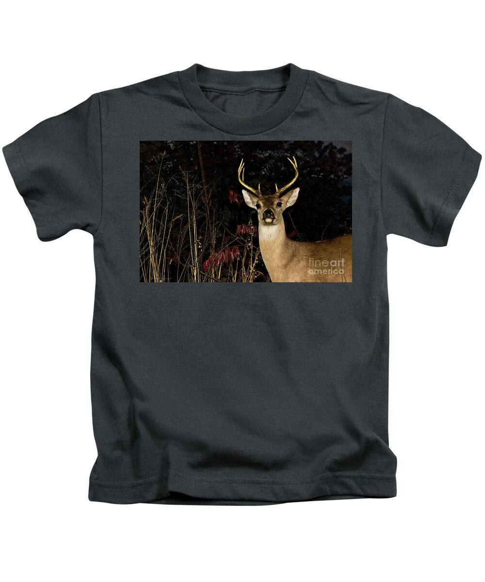 Deer Kids T-Shirt featuring the photograph Buck Deer by Ms Judi