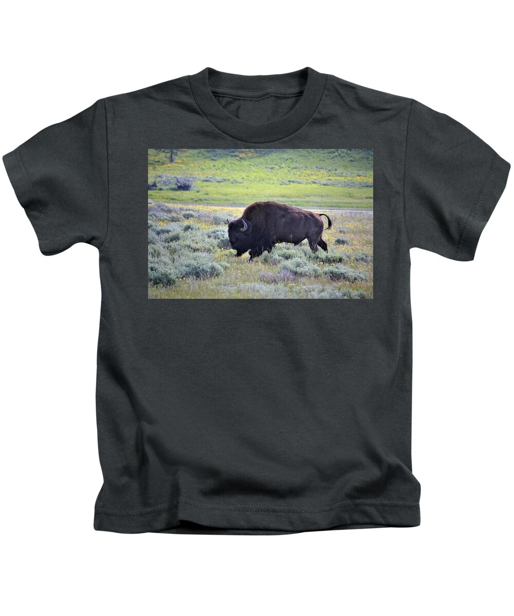Western Art Kids T-Shirt featuring the photograph Buffalo in Spring by Alden White Ballard