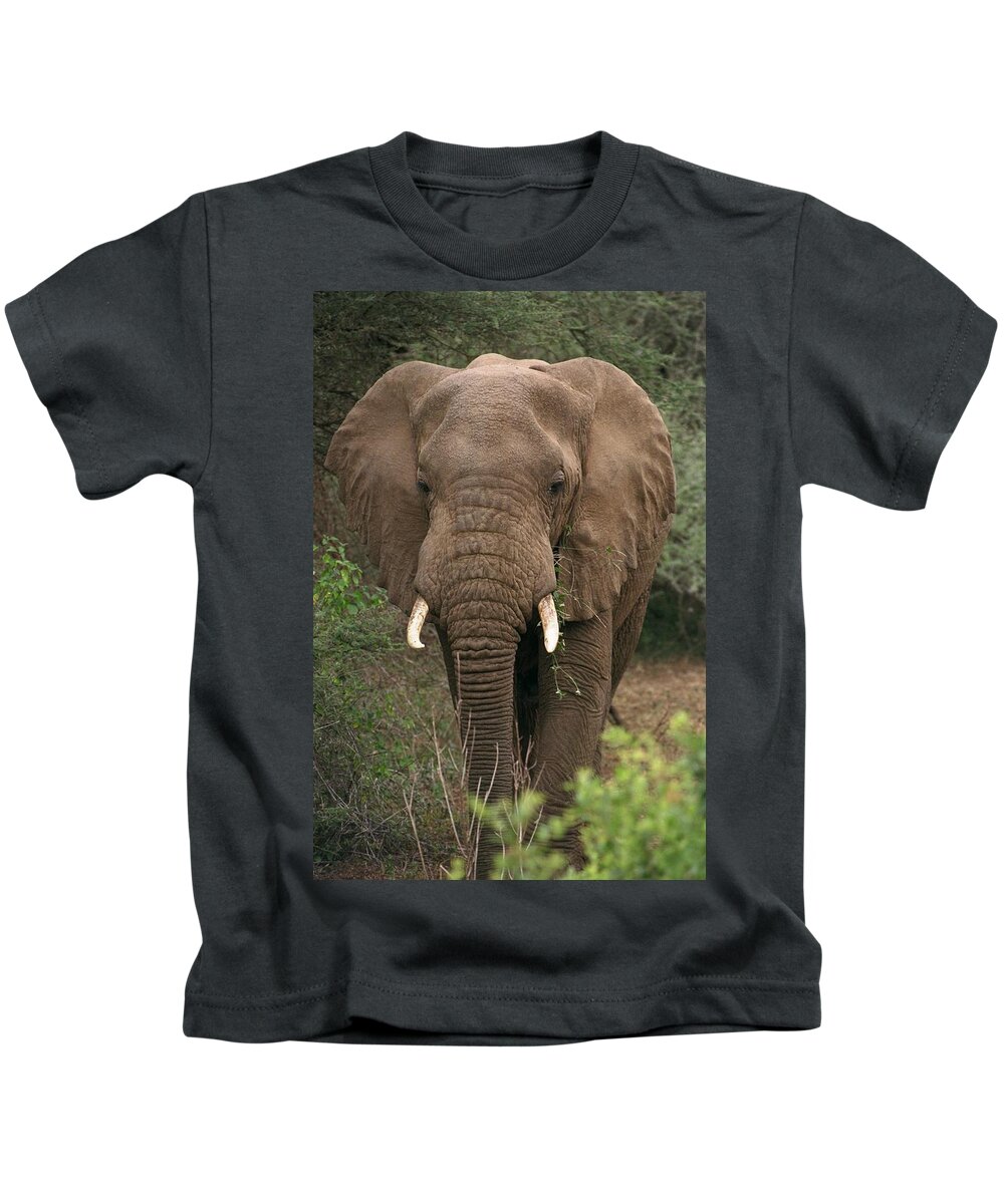 Animals Kids T-Shirt featuring the photograph Bull Elephant by Bonnie Colgan
