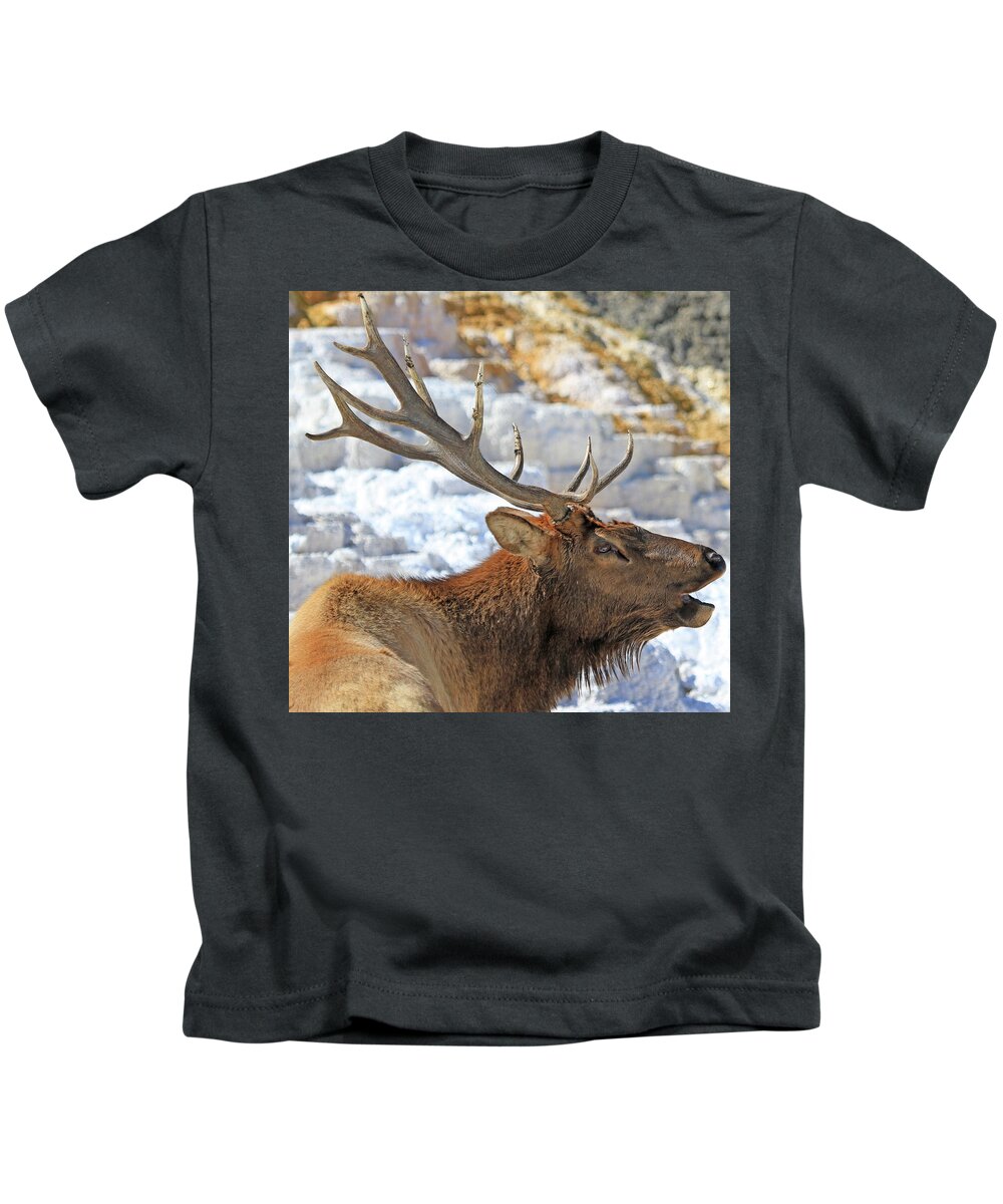 Elk Kids T-Shirt featuring the photograph Bull Elk Bugling by Shixing Wen