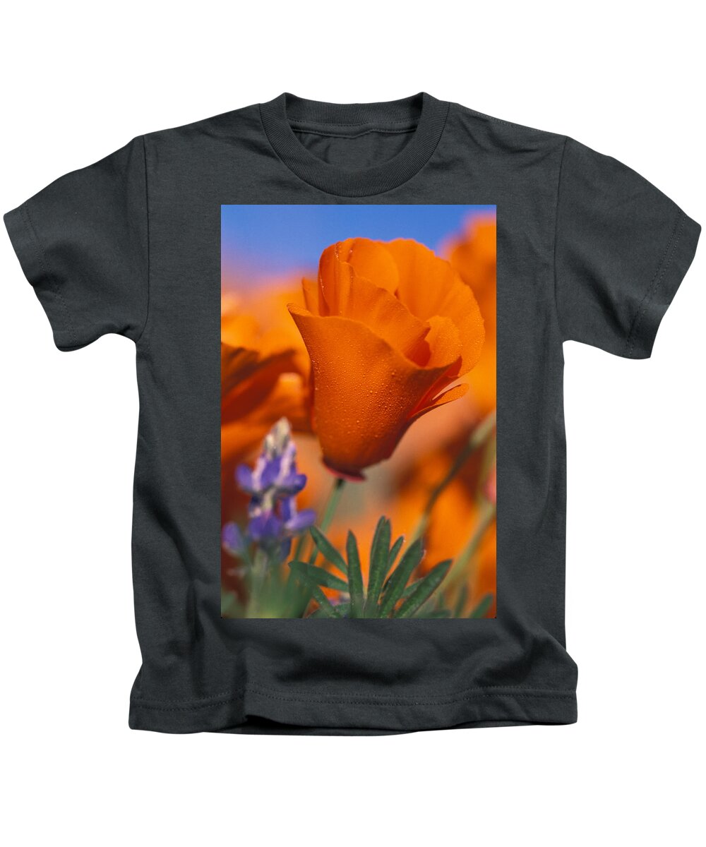 Orange Poppy Kids T-Shirt featuring the photograph California Poppy and Lupine by Bonnie Colgan