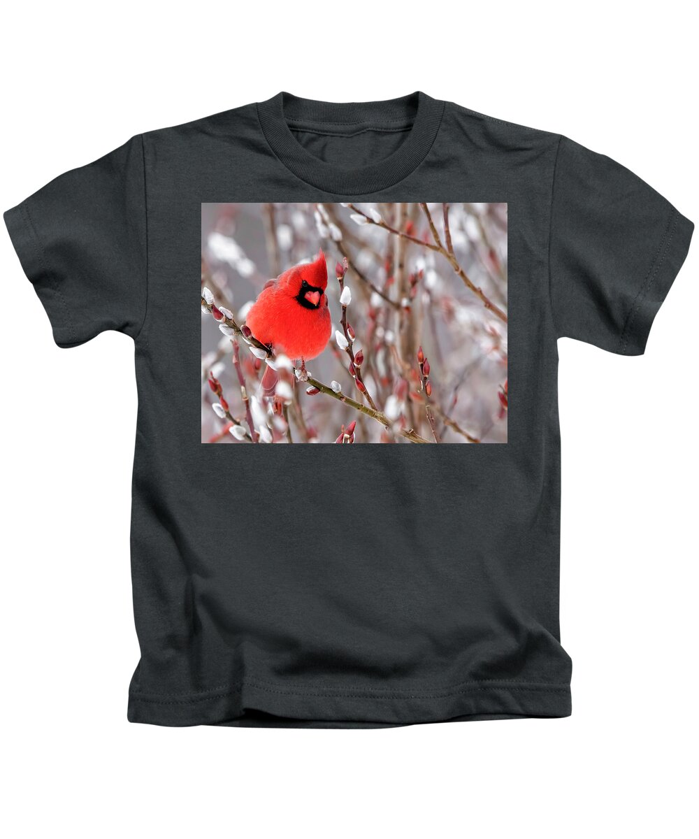 Northern Cardinal Kids T-Shirt featuring the photograph Cardinal in the Winter by Deborah Penland