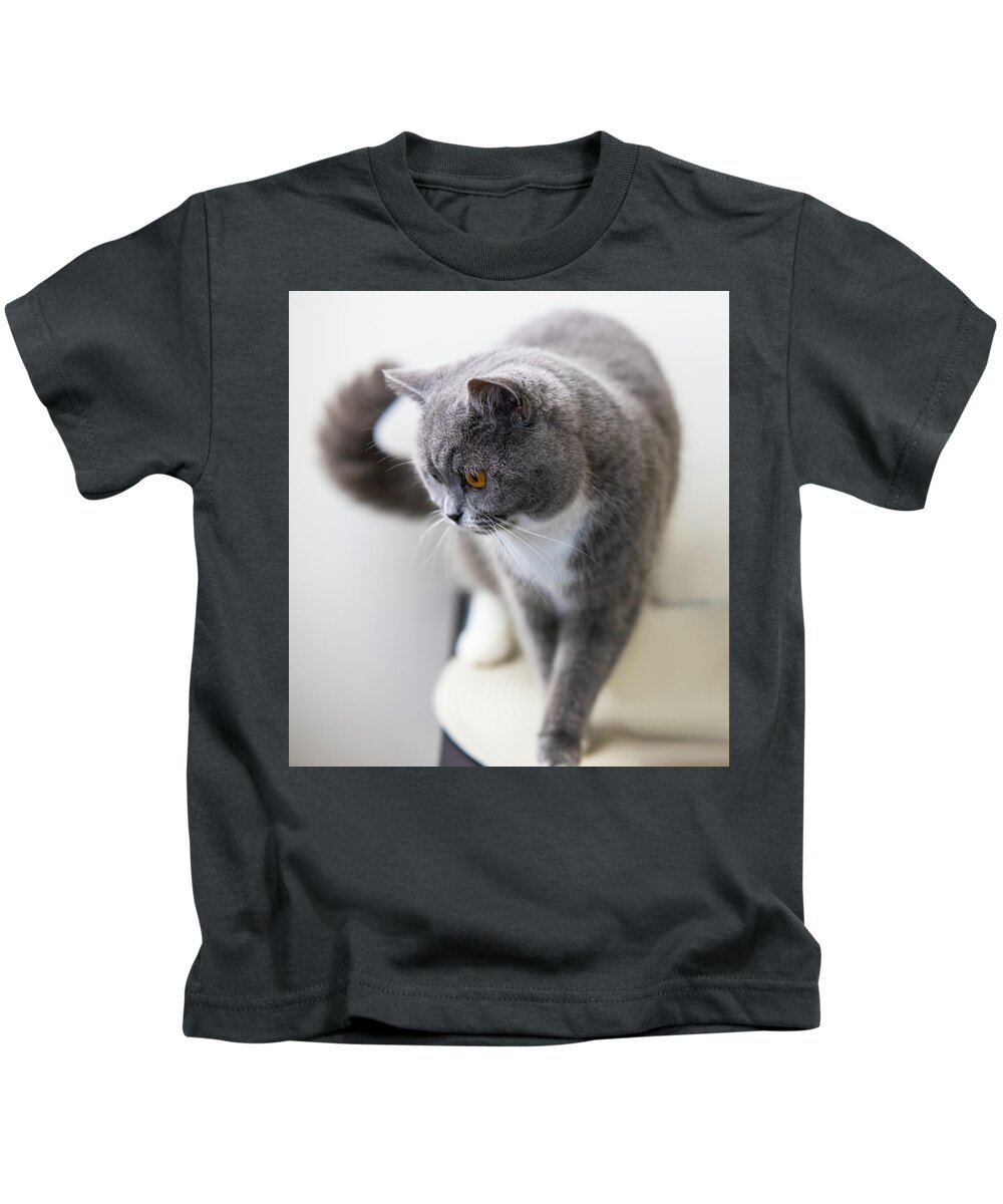 Cat Kids T-Shirt featuring the photograph Cat by MPhotographer