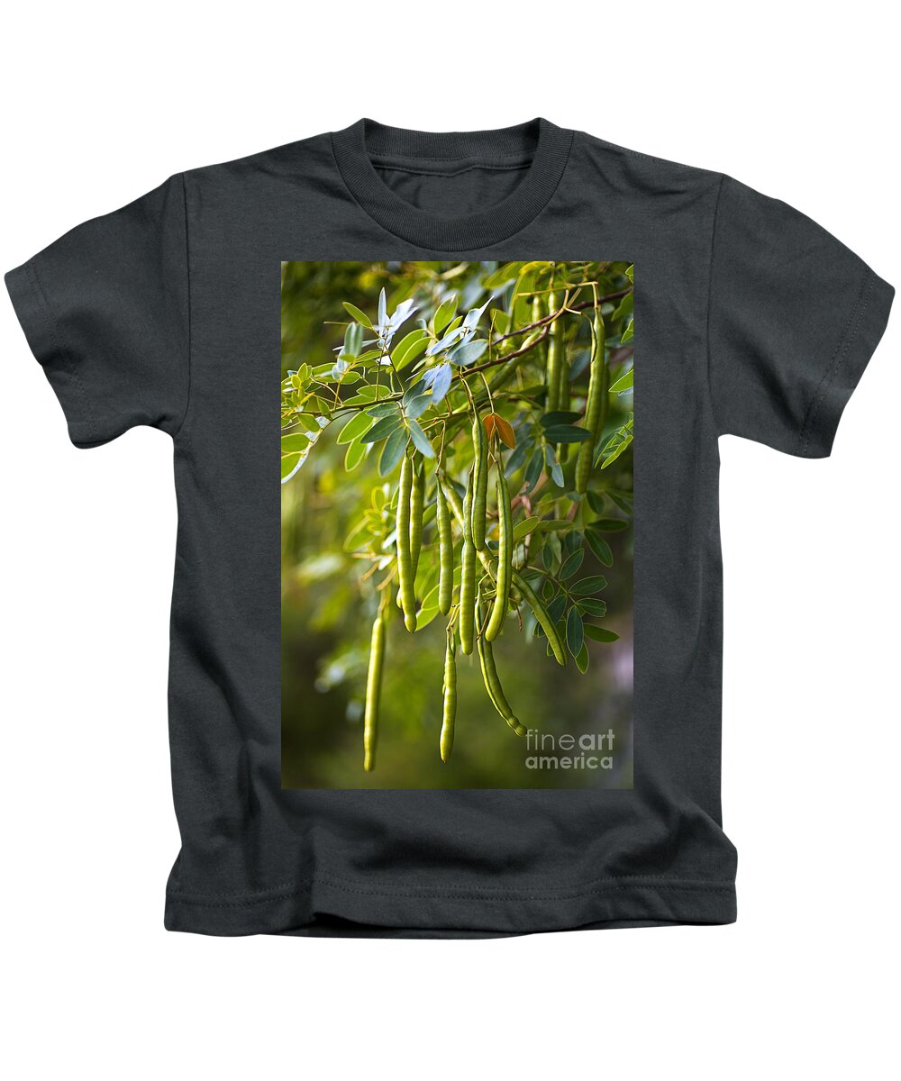 Catalpa Tree Kids T-Shirt featuring the photograph Catalpa Tree Seed Pods by Joy Watson