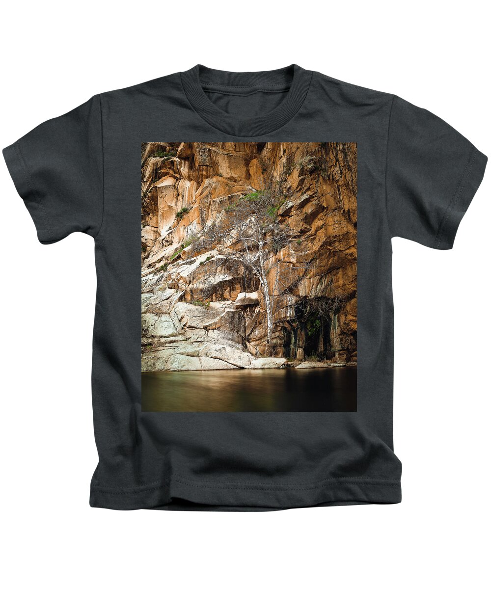 Waterfall Kids T-Shirt featuring the photograph Cedar Creek Tree by Jermaine Beckley