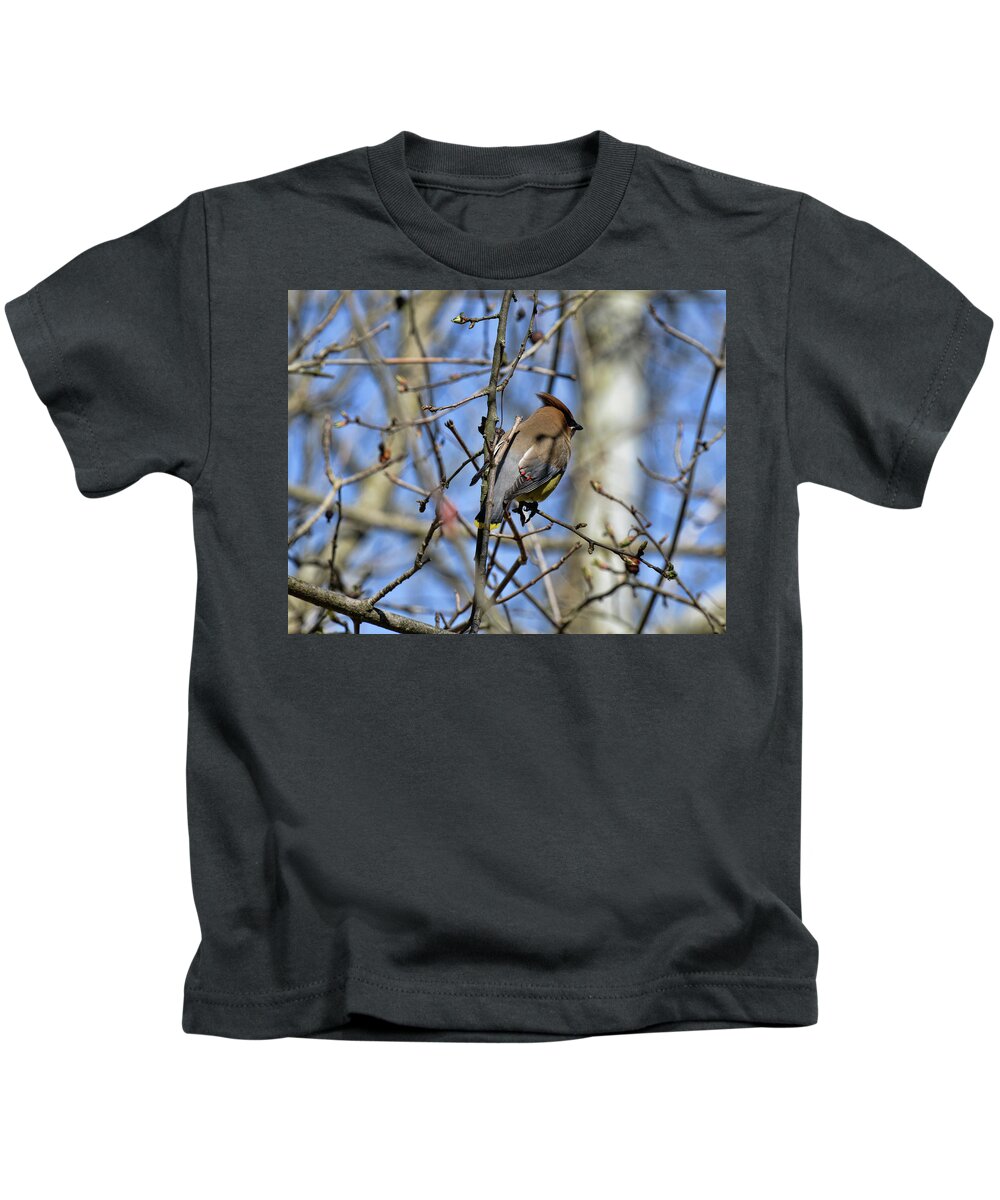  Kids T-Shirt featuring the photograph Cedar Waxwing 4 by David Armstrong