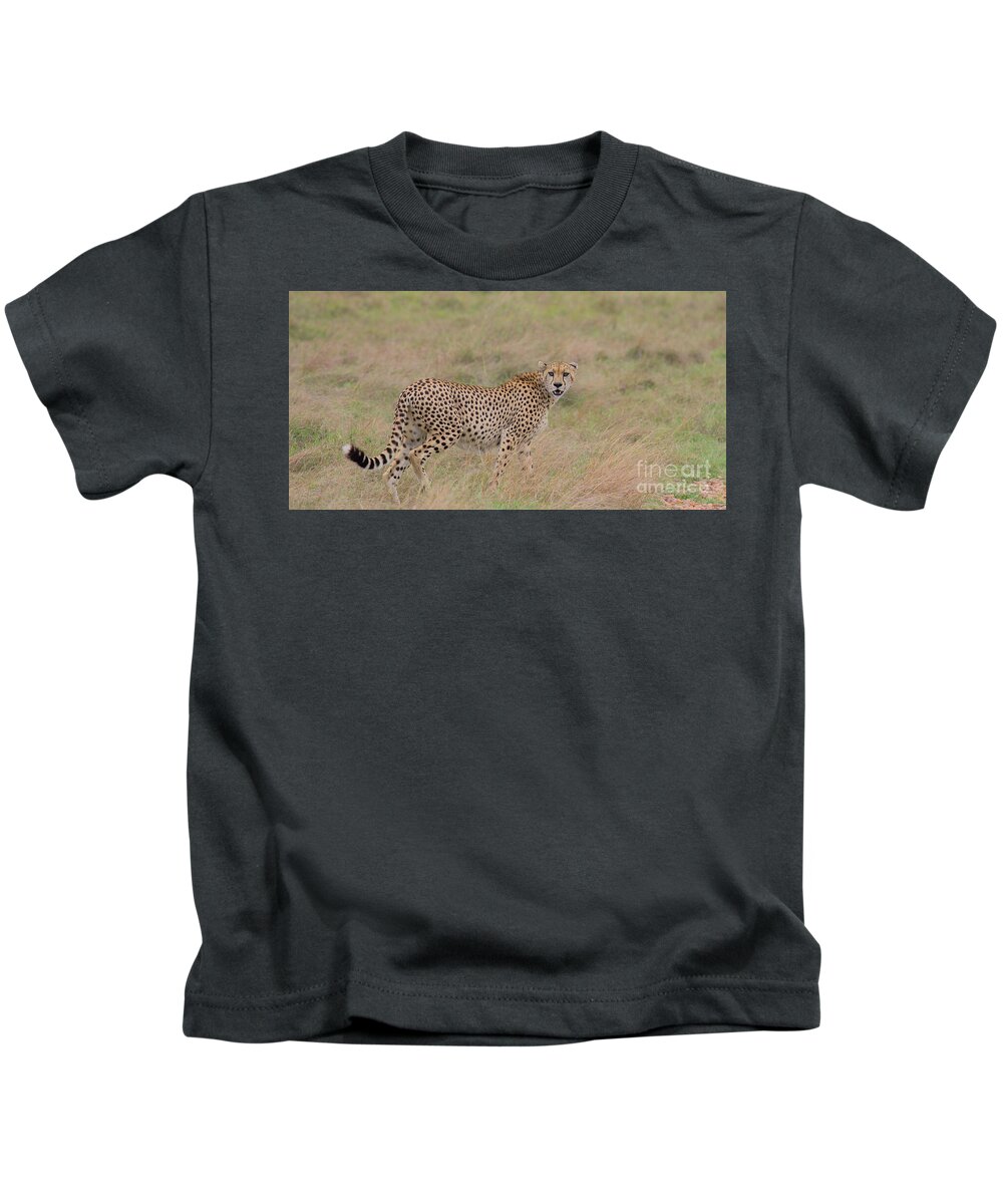  Cheetah Kids T-Shirt featuring the photograph Cheetah on the hunt prowling in the Masai Mara, Kenya by Nirav Shah