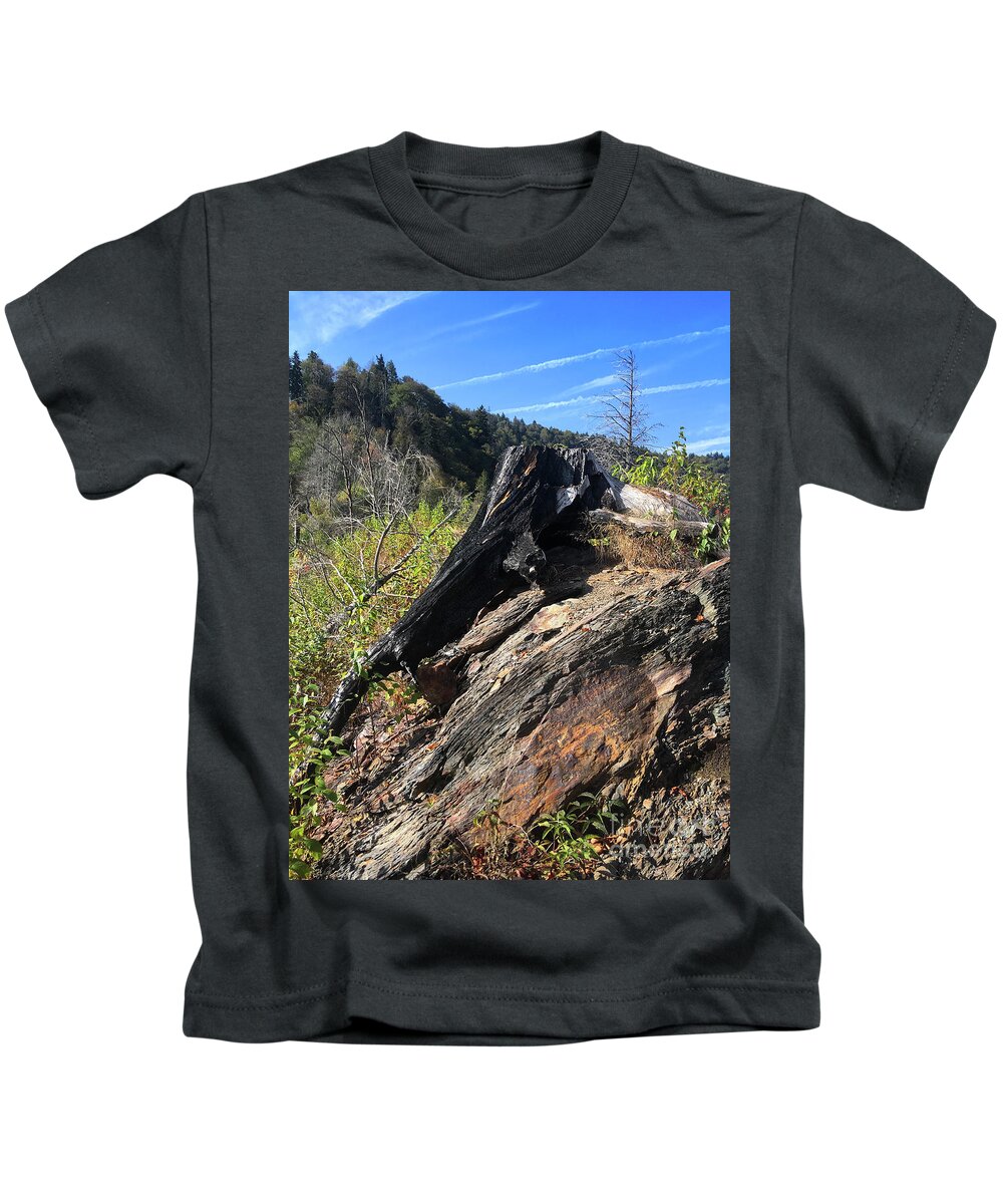 Chimney Tops Kids T-Shirt featuring the photograph Chimney Tops 20 by Phil Perkins