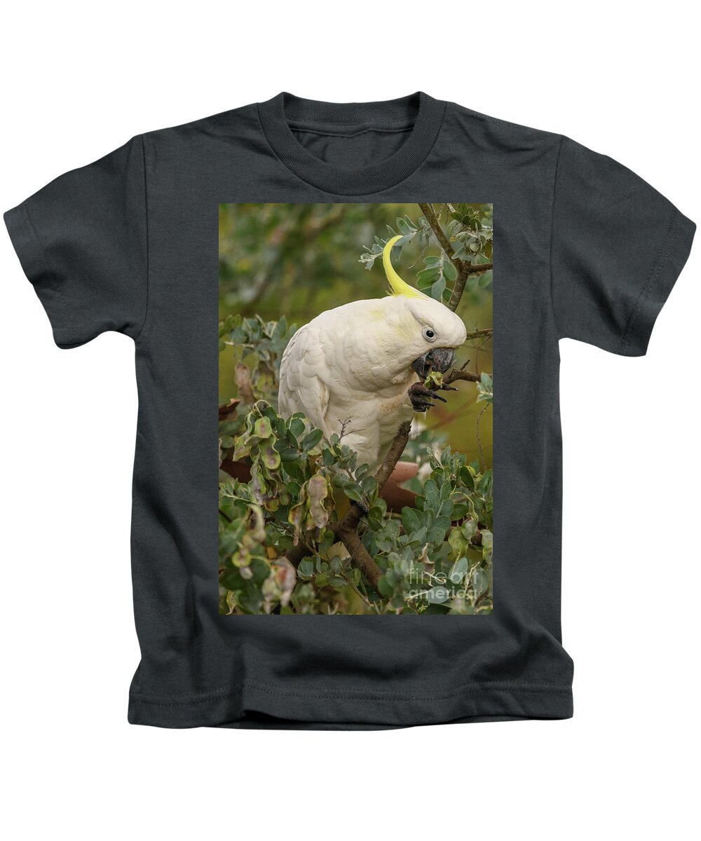 Wildlife Kids T-Shirt featuring the photograph Cockatoo 10 by Werner Padarin
