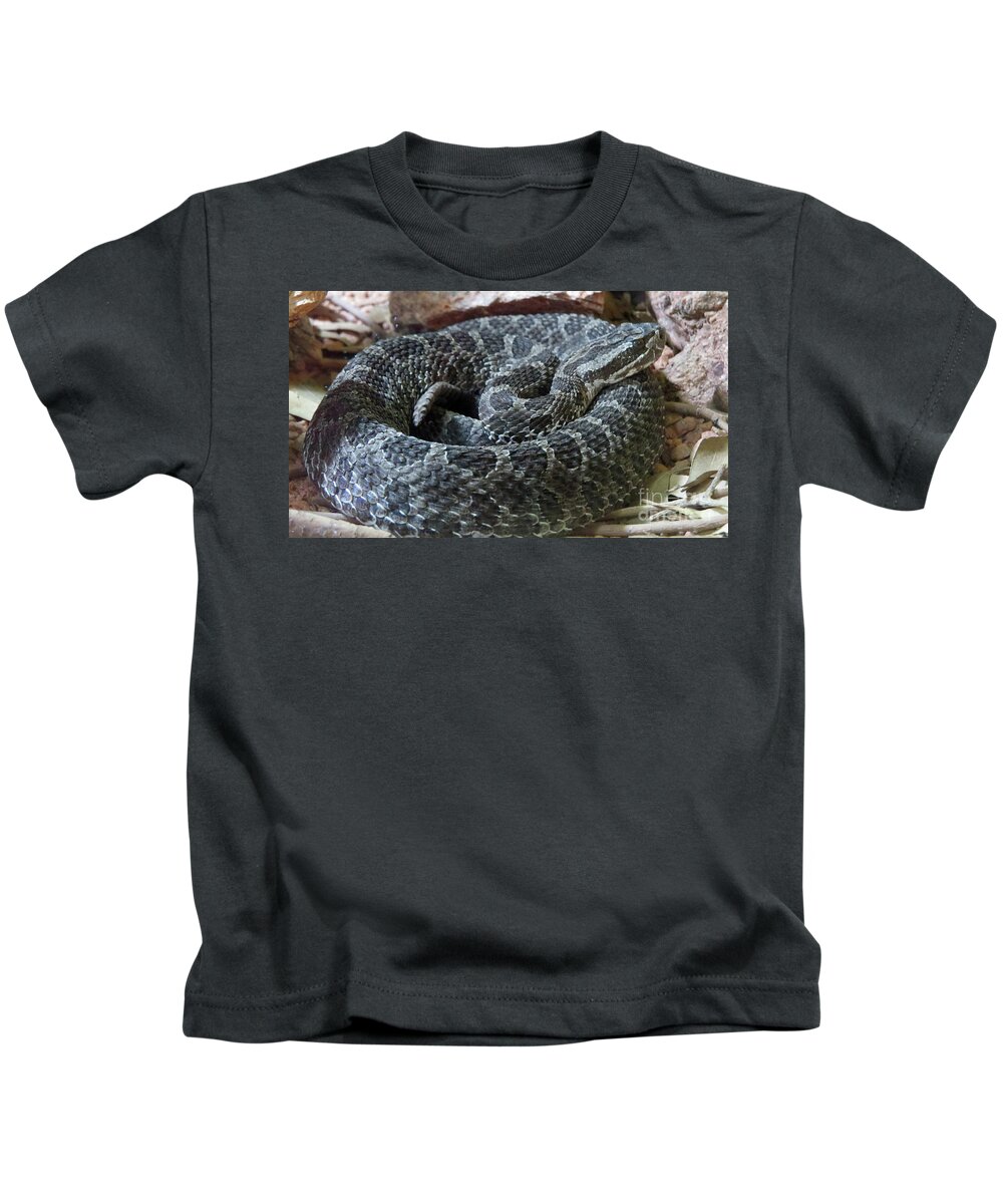 Snakes Kids T-Shirt featuring the photograph Coiled by Mary Mikawoz