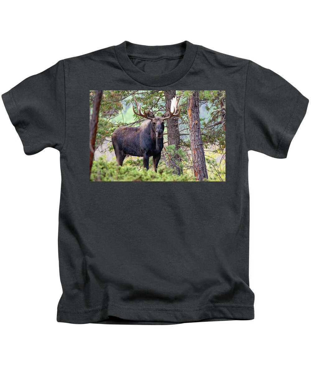 Moose Kids T-Shirt featuring the photograph Creatures of the Forest 2 by Darlene Bushue