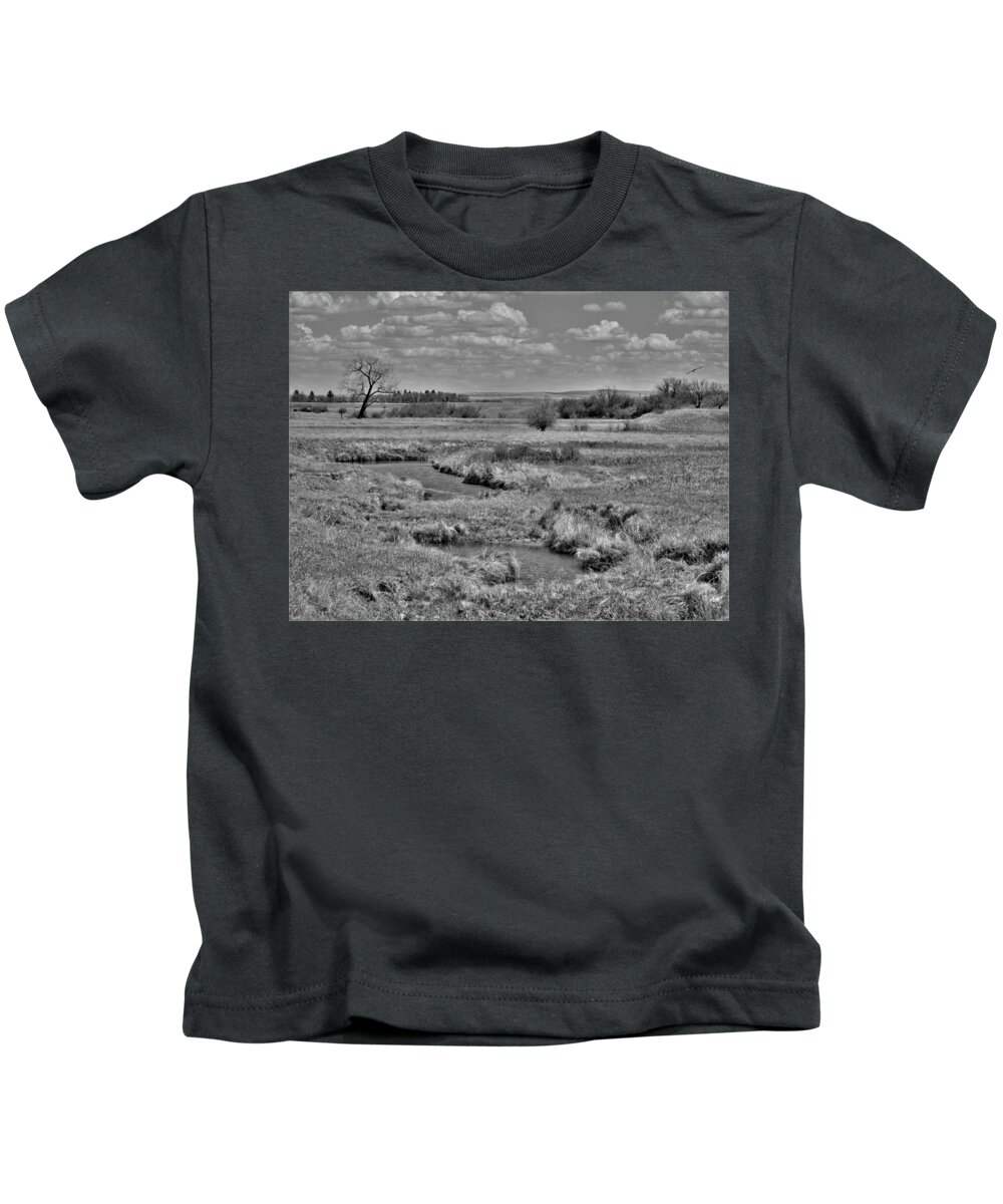 Swallows Kids T-Shirt featuring the photograph Creek and Flying Swallows in Black and White by Amanda R Wright