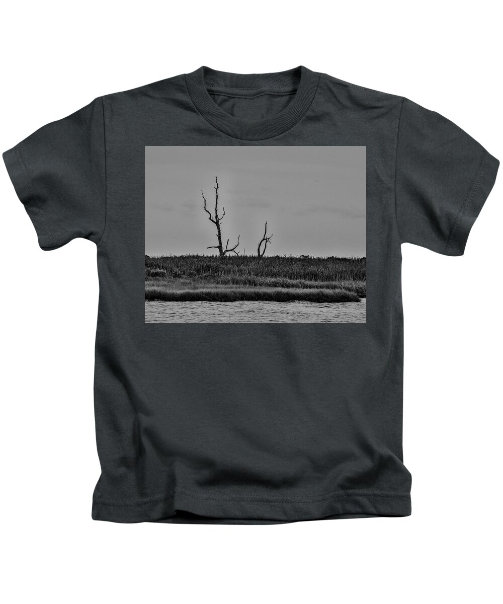 Trees Kids T-Shirt featuring the photograph Dead Trees on the Forked River by Alan Goldberg