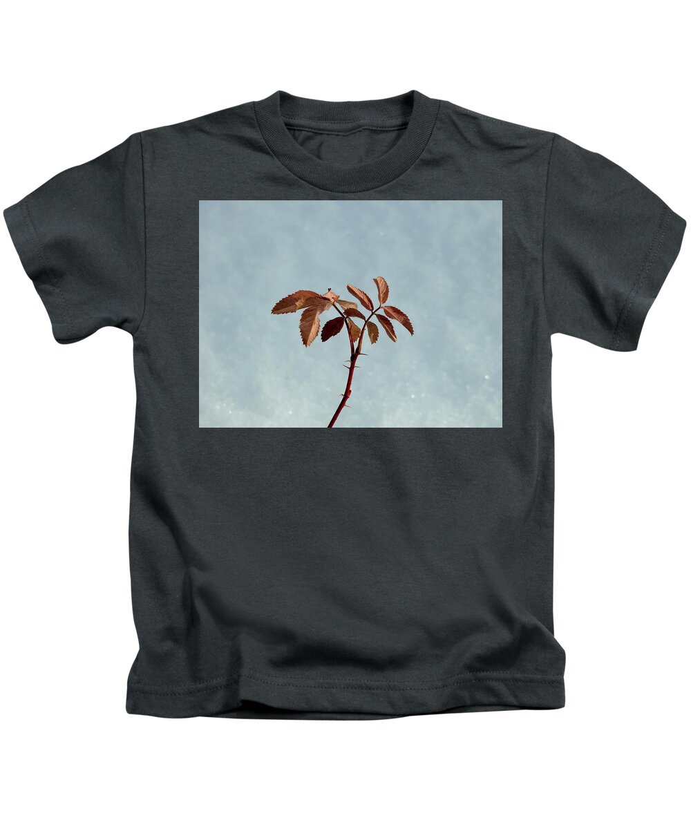  Kids T-Shirt featuring the photograph December rose by Nicola Finch