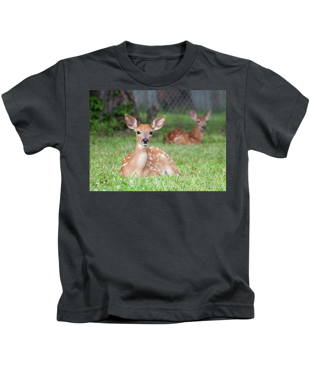 Fawns Kids T-Shirt featuring the photograph Deer Babies by Terri Harper